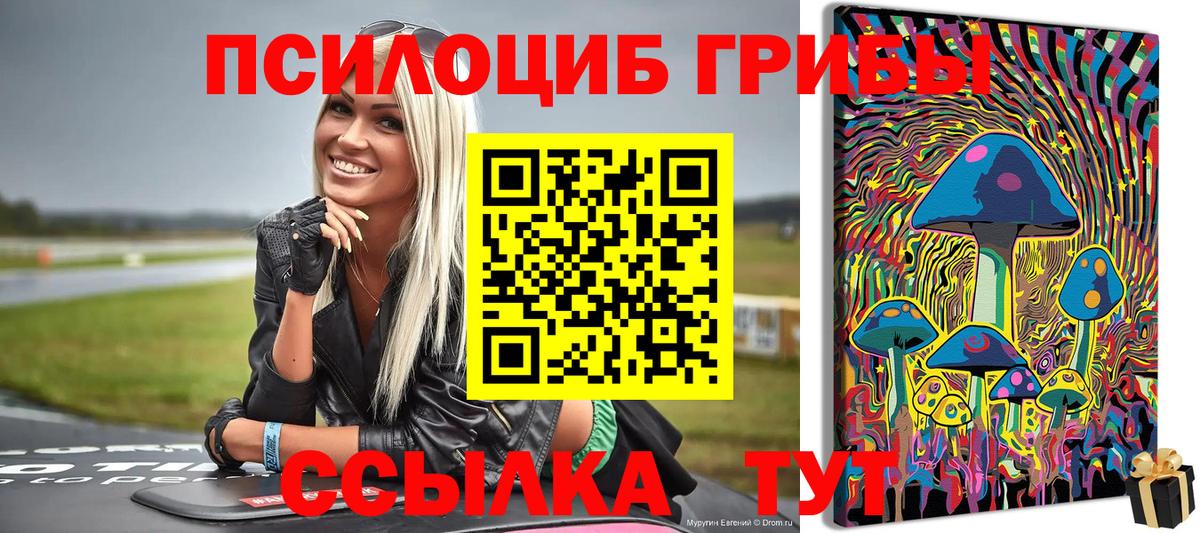 цены   Галлюциногенные грибы Psilocybine cubensis  Вход с VPN  Петропавловск-Камчатский 