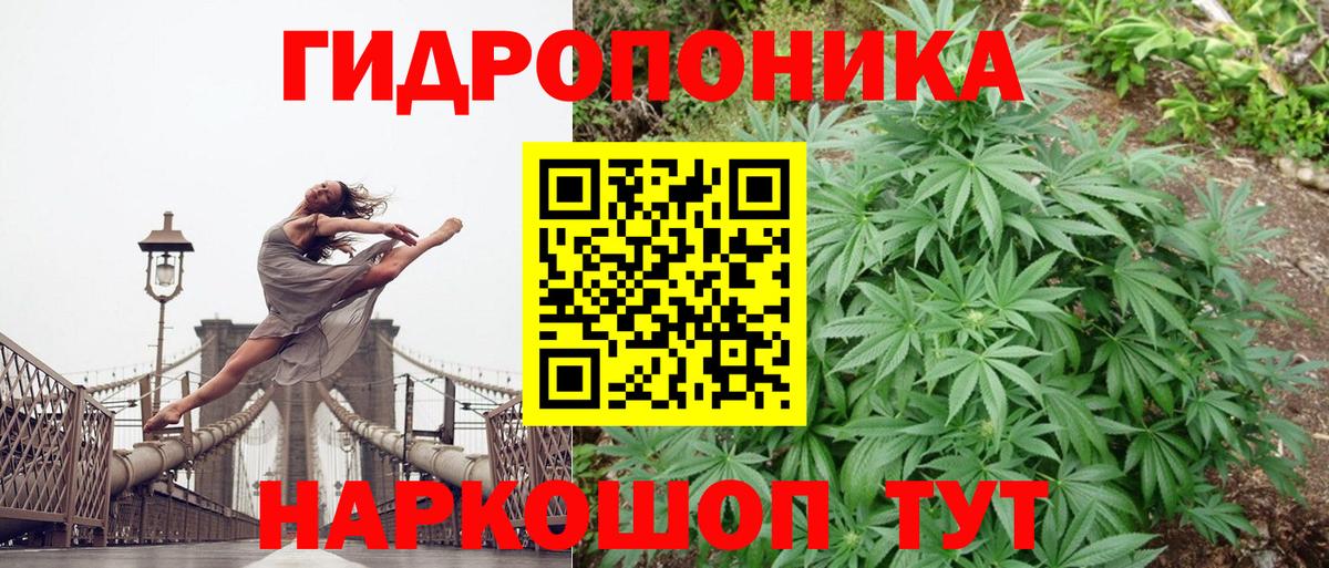 Бошки марихуана SATIVA & INDICA  Бошки марихуана OG Kush  Каннабис семена  Вход с VPN  Петропавловск-Камчатский 